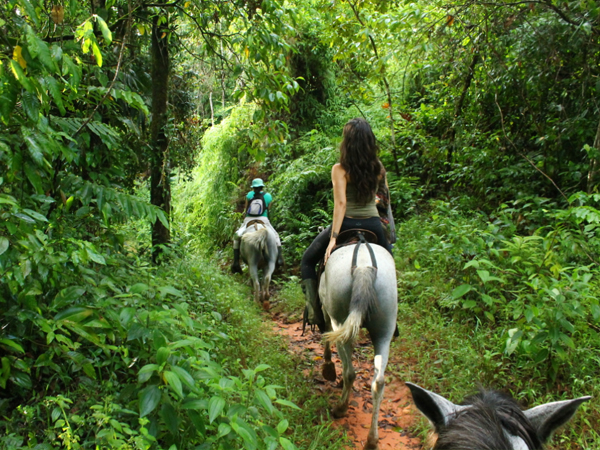 Horseback Tour