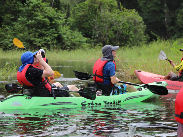 Kayak Tour