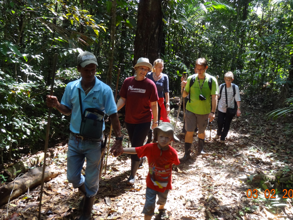 Rainforest tours 