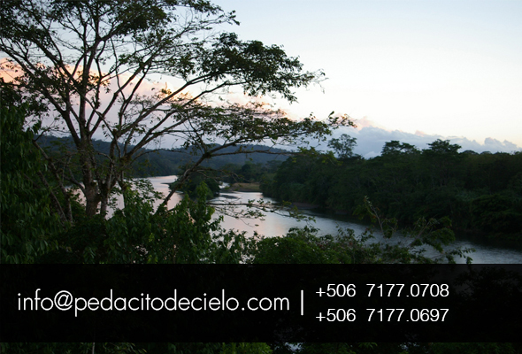 View of the San Carlos River from the Bungalow